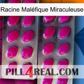 Racine Maléfique Miraculeuse 10